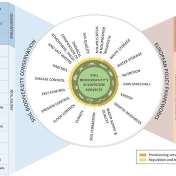 biodiversidad