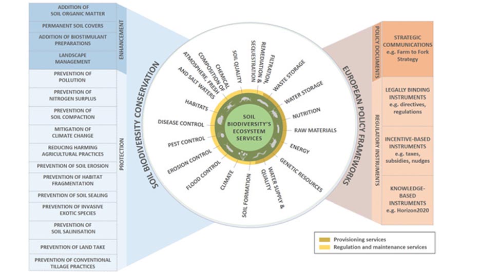 biodiversidad